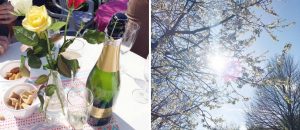 bloesem & champagne 2016